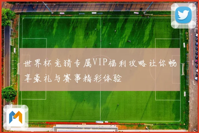 世界杯竞猜专属VIP福利攻略让你畅享豪礼与赛事精彩体验